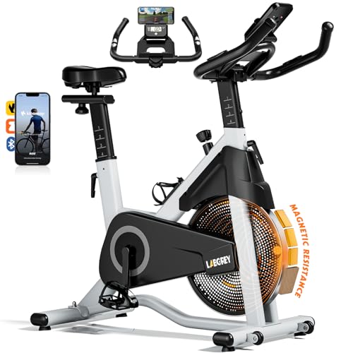 LABGREY Vélo d'Appartement, Vélo de Fitness d'Exercice d'Intérieur Silencieux avec