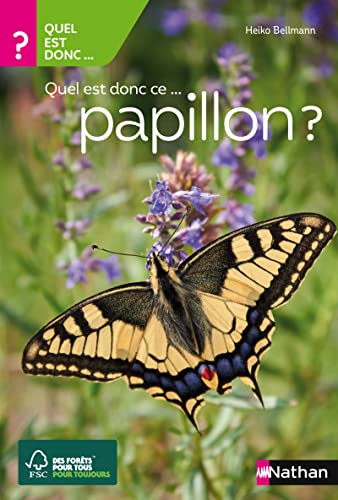 Quel est donc ce papillon ? - Guide Nature Nathan