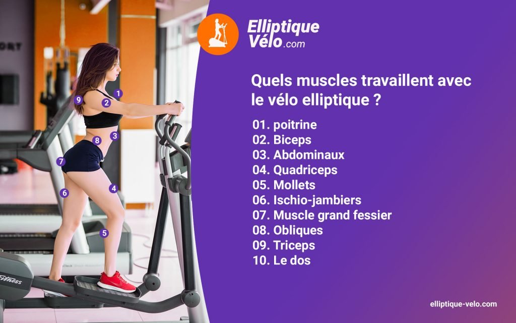 Quel muscle travaillent avec un vélo elliptique
